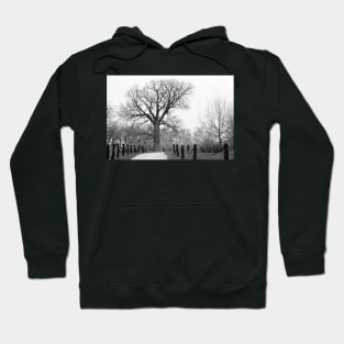 Centenary Oak Hoodie